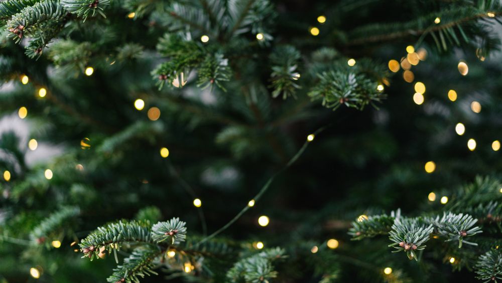 Hoe veilig is (LED) kerstverlichting? Dit wil je erover weten