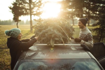 Uitjes dit weekend - kerstboom zagen