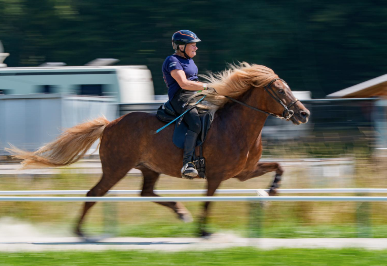 Schermafbeelding 2025 12 29 Om 15.45.26