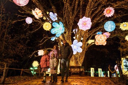 lichtevents in Nederland