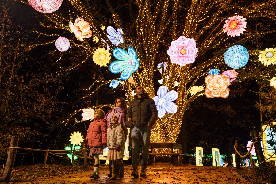 lichtevents in Nederland