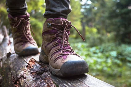 21012026 Vri Panamajack