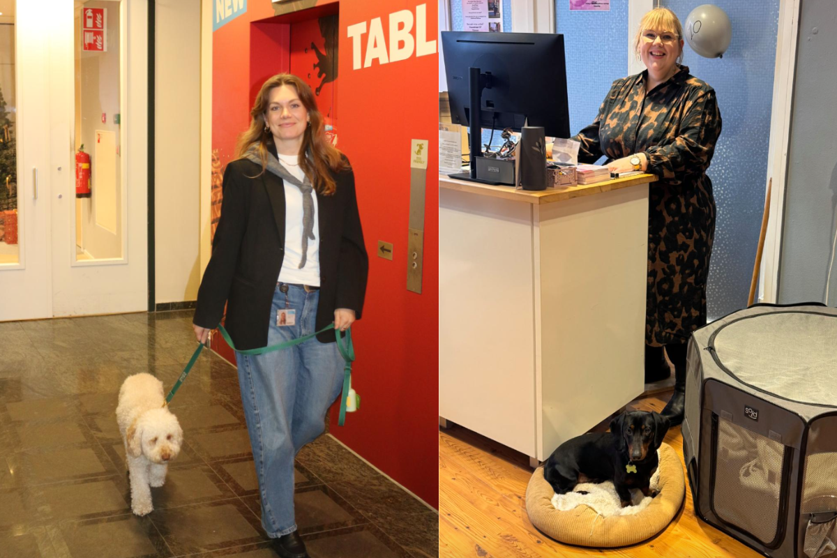 Ontwerp Zonder Titel (16)