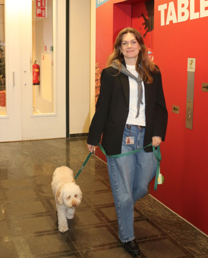 Schermafbeelding 2026 02 17 Om 16.32.09