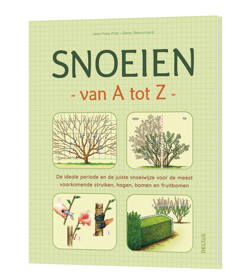 Schermafbeelding 2026 03 04 Om 09.43.25