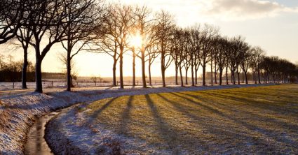 Kans op (lichte) sneeuw in delen van Nderland