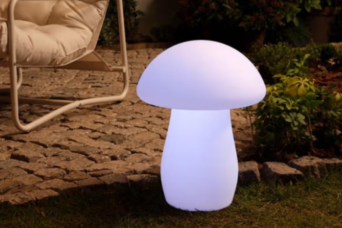 Ontwerp Zonder Titel 2026 03 10t152245.452