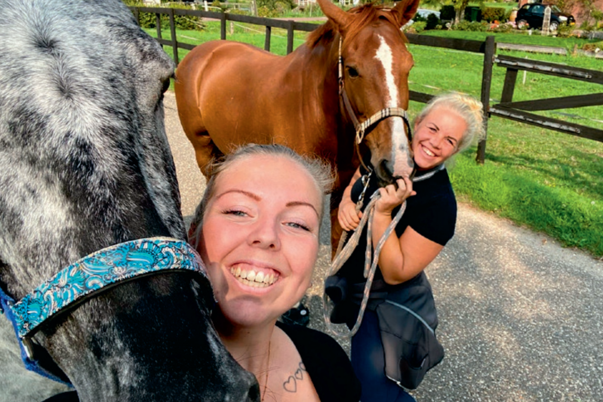 Ontwerp Zonder Titel 2026 03 16t161556.212