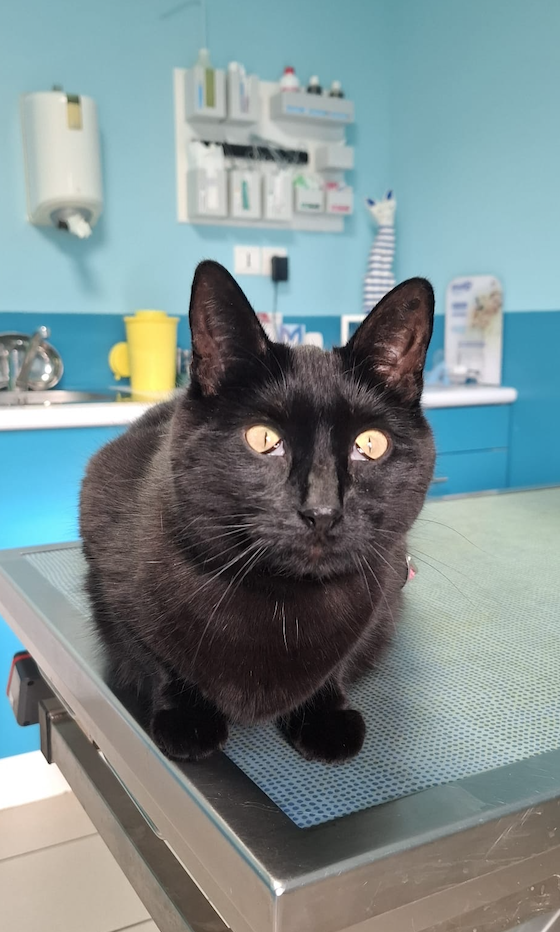 Schermafbeelding 2026 03 02 Om 10.25.50