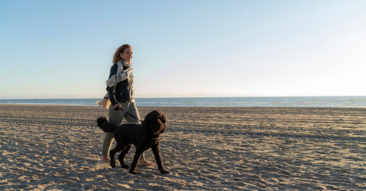 Vrouw loopt met hond op het strand - uitjes
