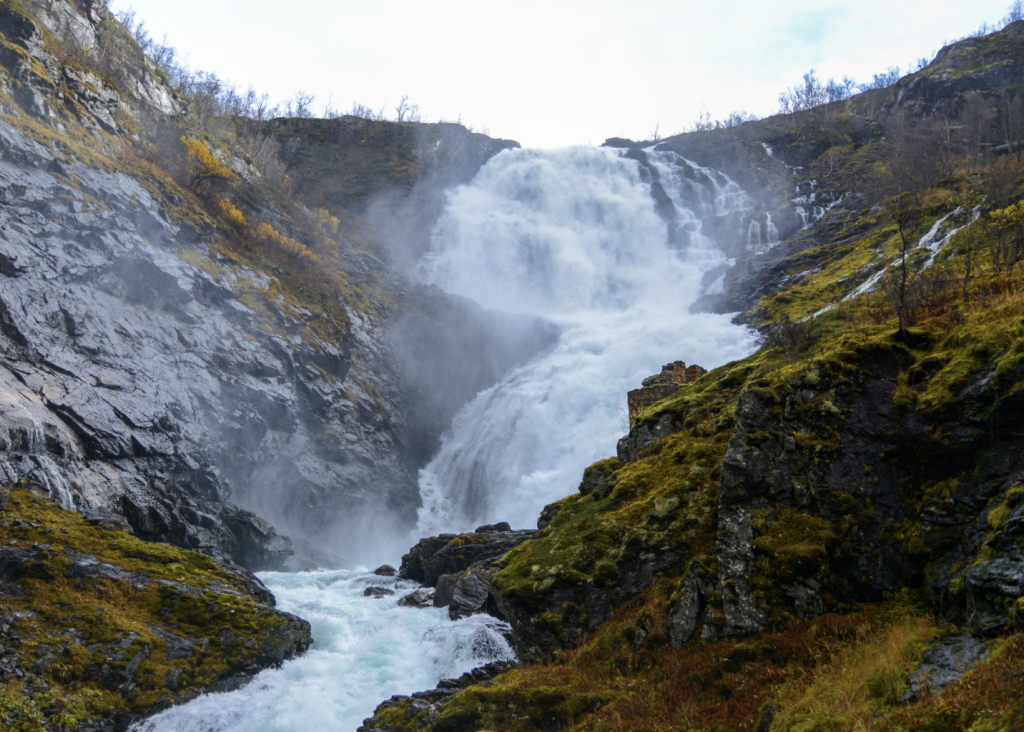 Scherm­afbeelding 2026 04 01 Om 17.11.56