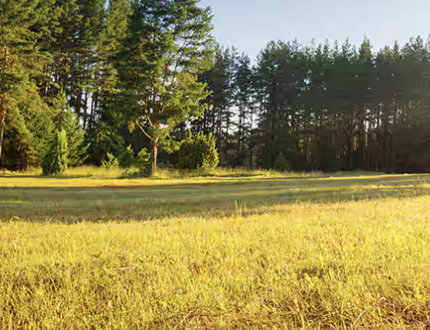 Scherm­afbeelding 2026 04 15 Om 13.46.28