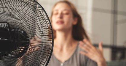 Vrouw voor een elektrische ventilator - warm dag
