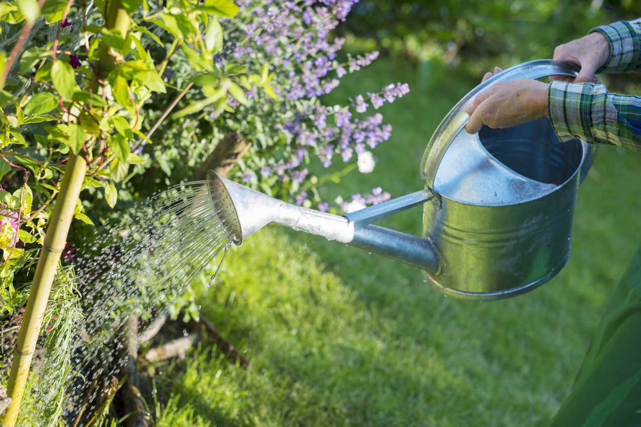 Vrouw geeft planten water in tuin