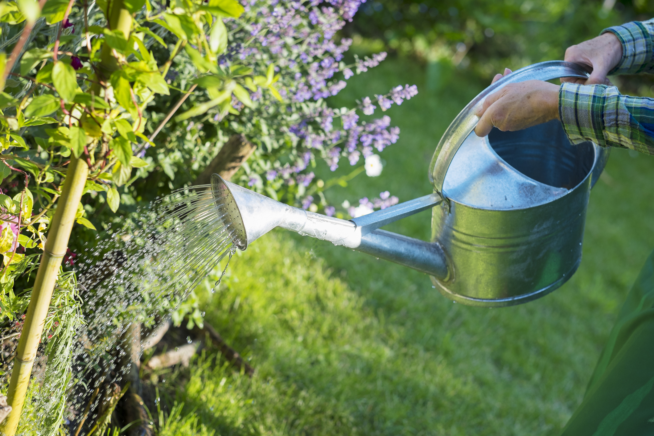 Vrouw geeft planten water in tuin