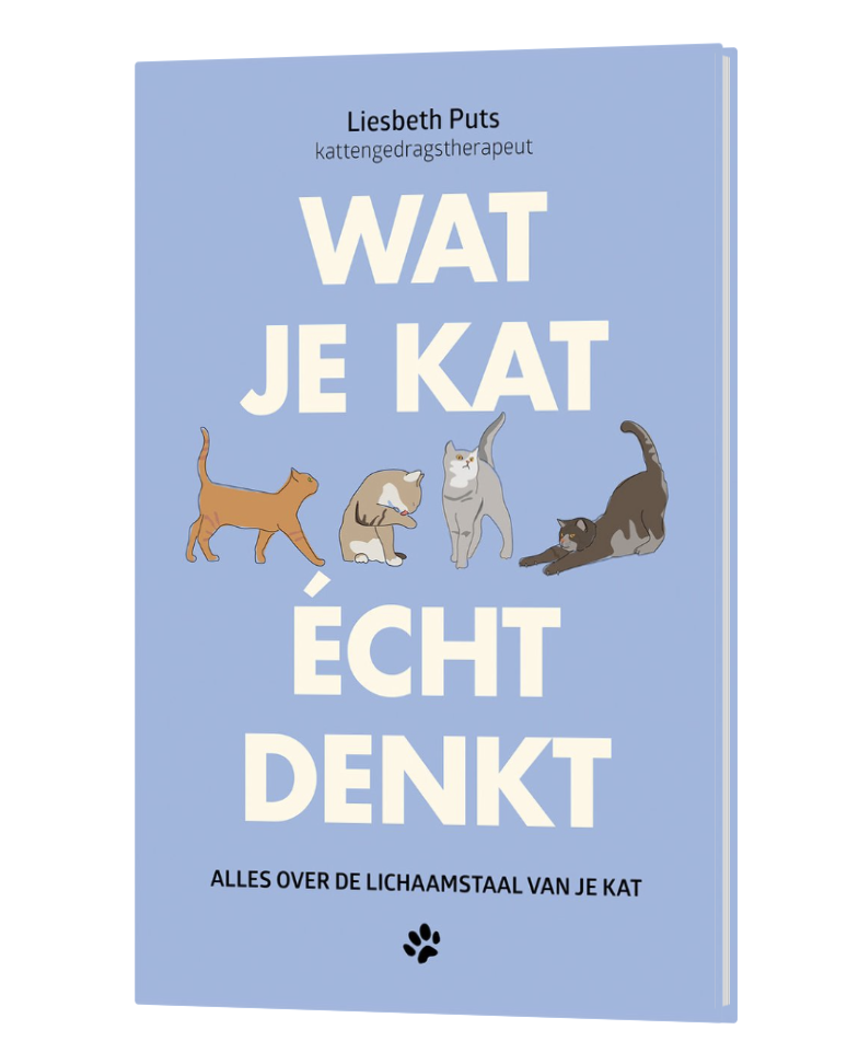 Scherm­afbeelding 2026 08 17 Om 12.29.55
