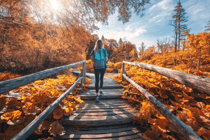 herfstwandelingen herfst