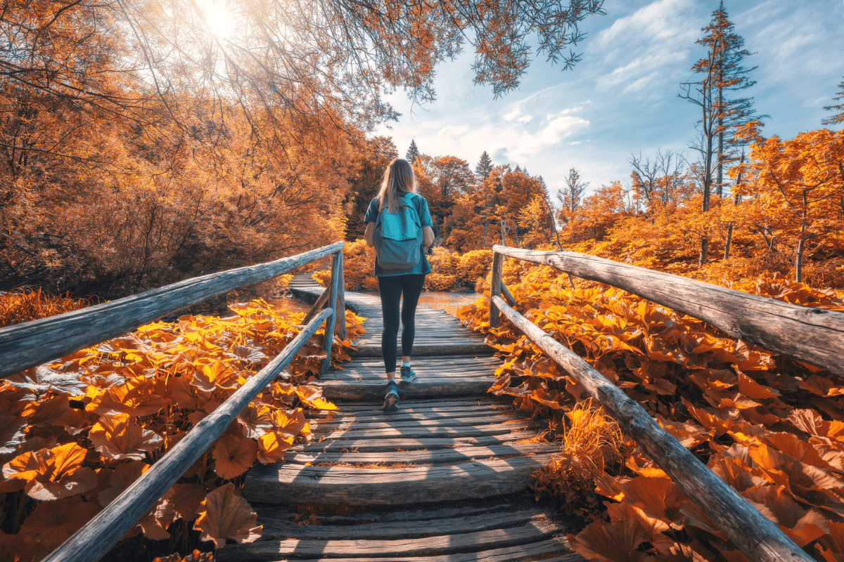 herfstwandelingen herfst