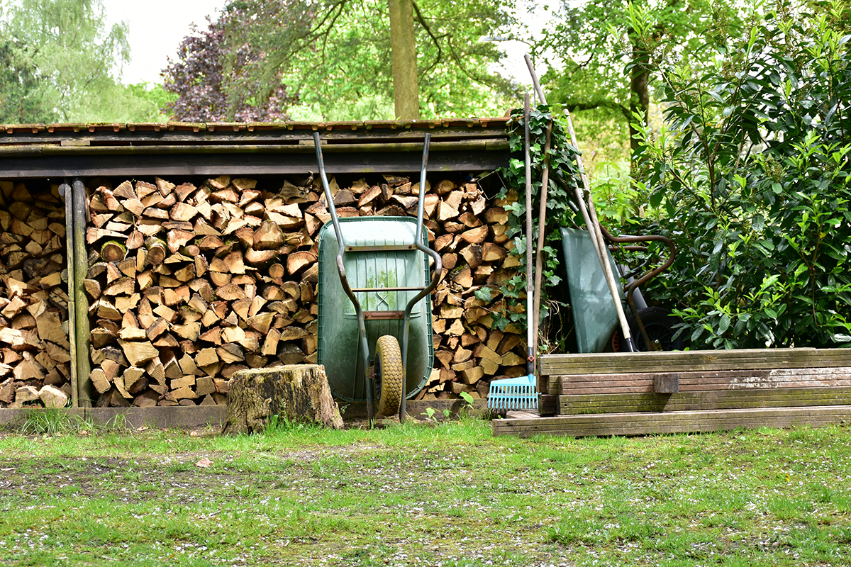 12102026 Vri Ries Bosch Y5bbevhhoq8 Unsplash