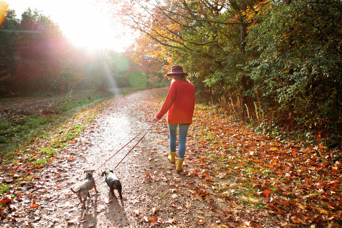 herfst